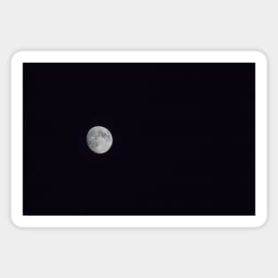 The Earth's only Moon Sticker